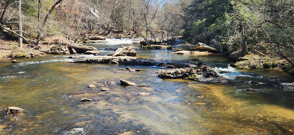 435685 Ellijay Active