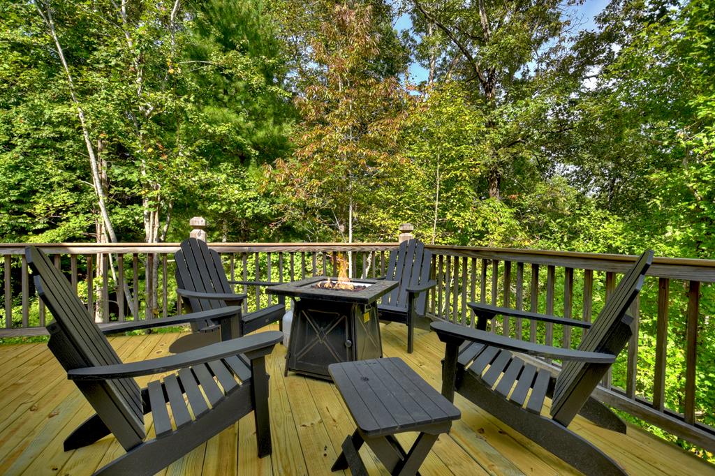 435733 Mineral Bluff Active