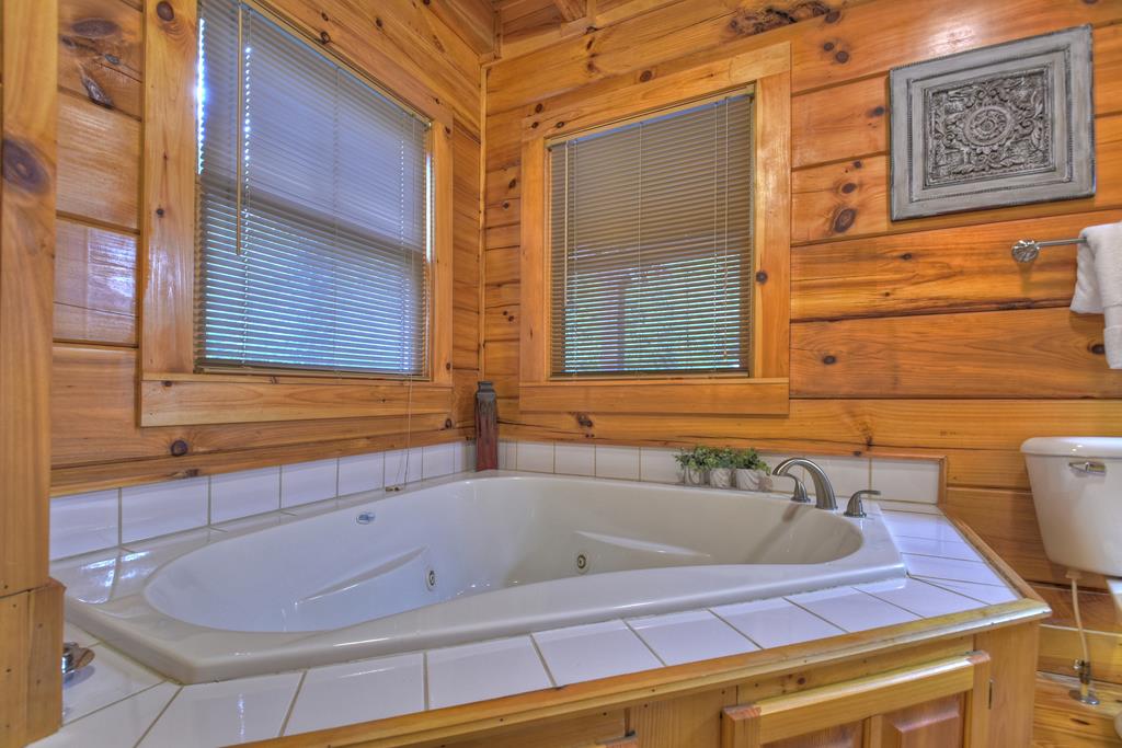 435733 Mineral Bluff Active
