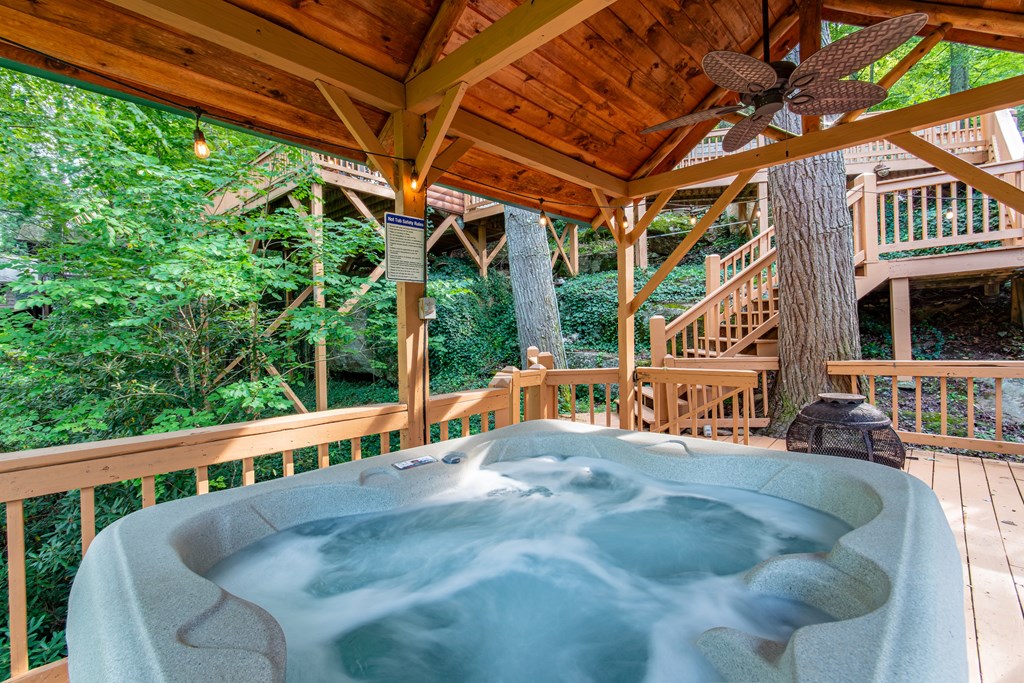435736 Blue Ridge Active