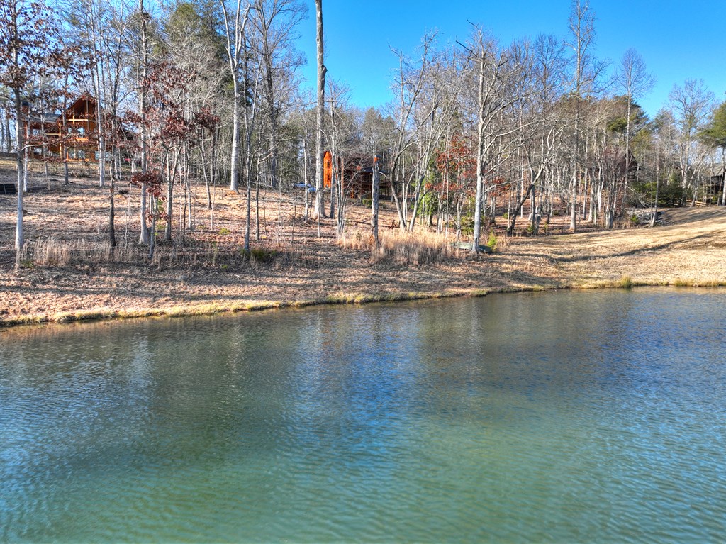 435782 Blue Ridge Active