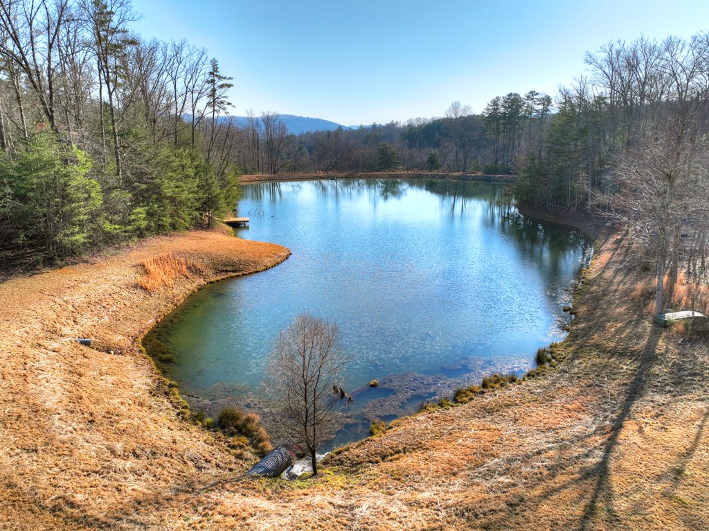 435782 Blue Ridge Active