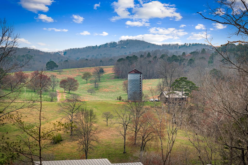 435797 Blue Ridge Active