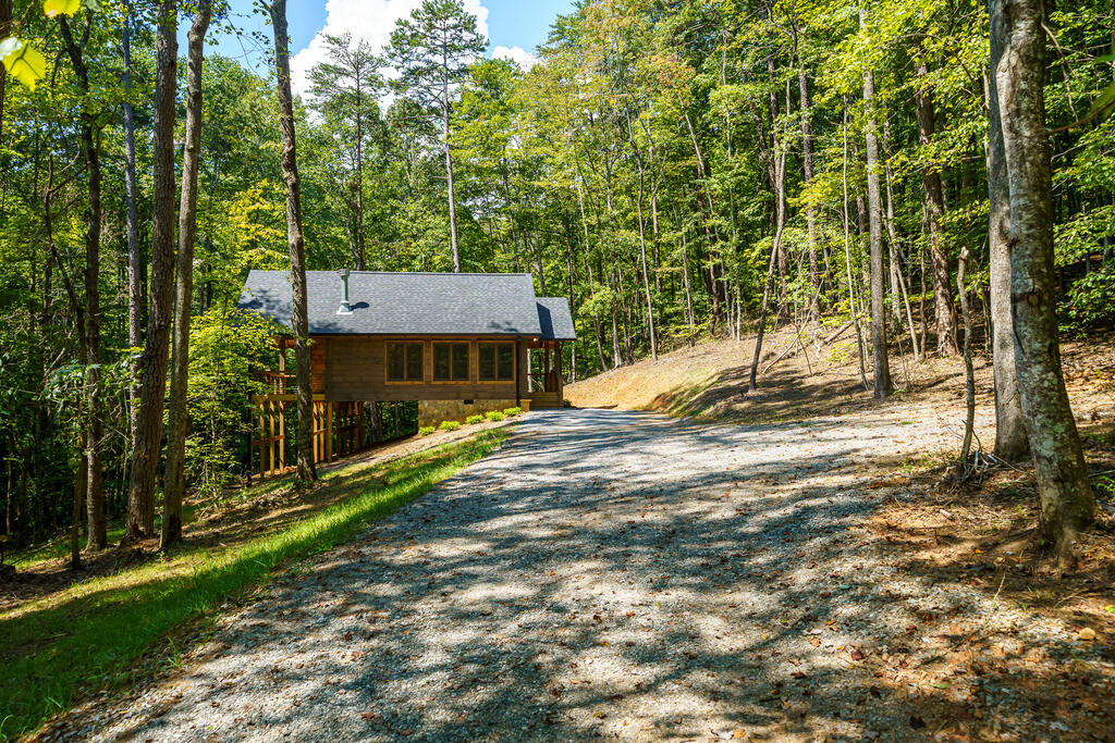 435799 Blue Ridge Active