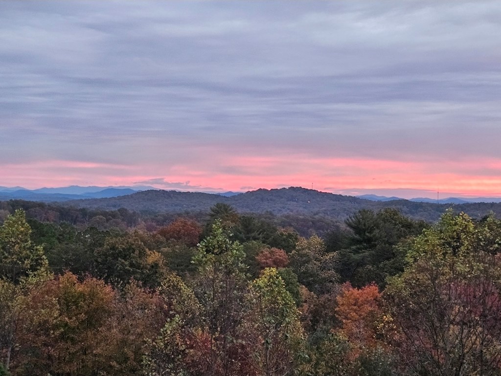 435804 Blue Ridge Active