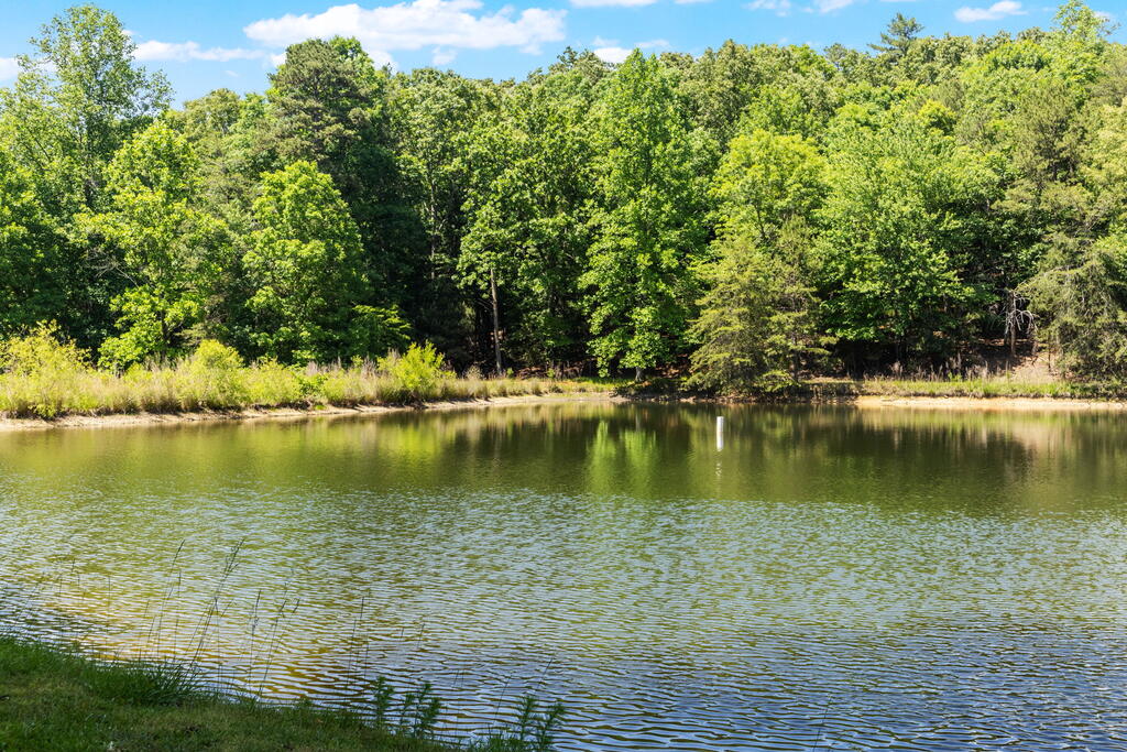 435809 Ellijay Active