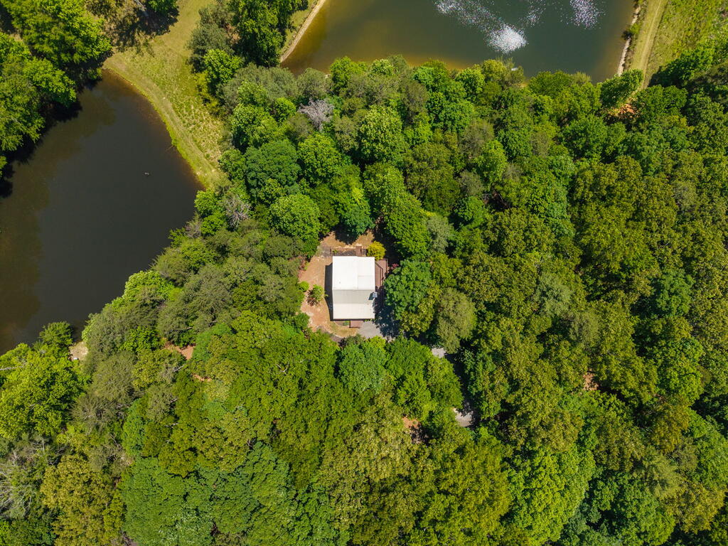 435809 Ellijay Active