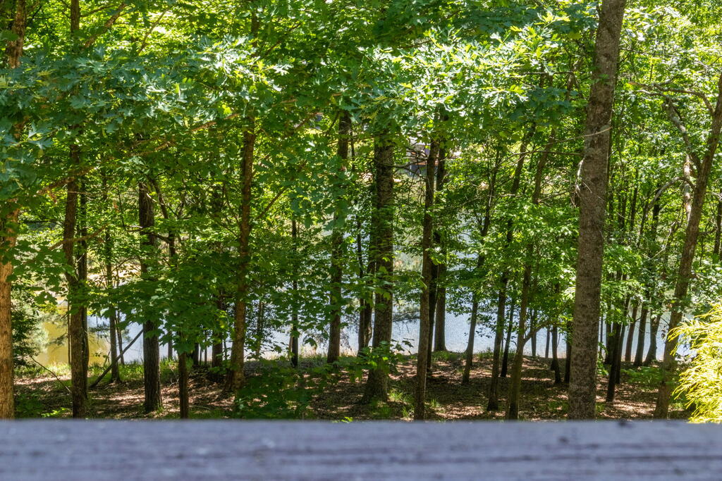 435809 Ellijay Active
