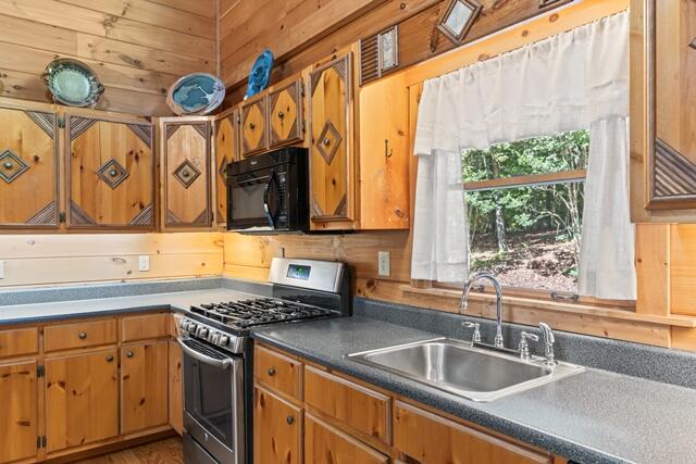 435818 Mineral Bluff Active