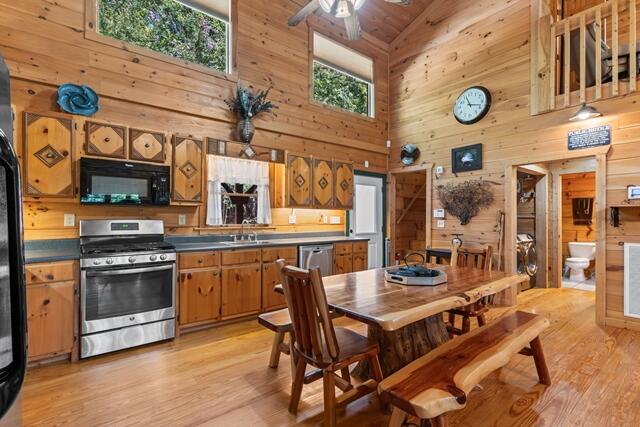 435818 Mineral Bluff Active