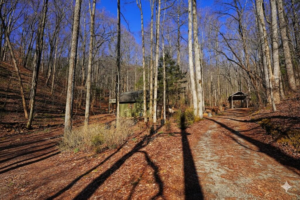 435826 Blue Ridge Active