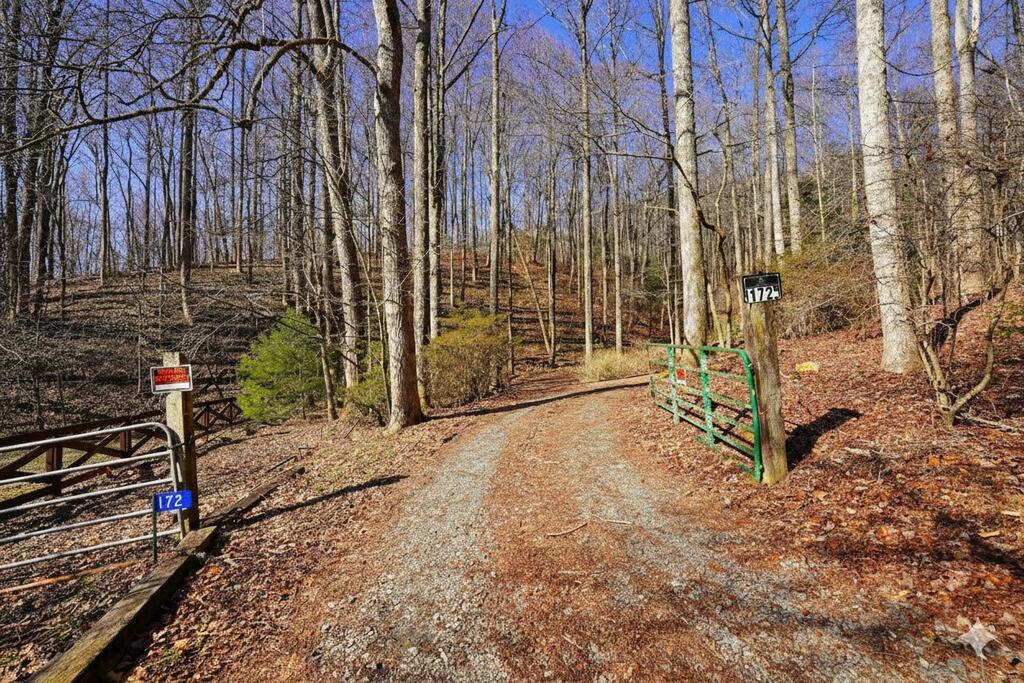 435826 Blue Ridge Active