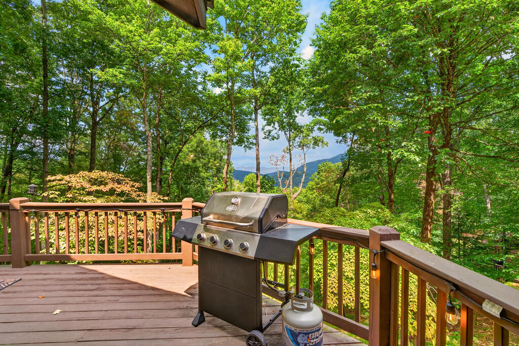 435860 Ellijay Active