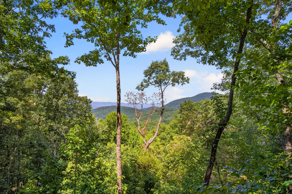 435860 Ellijay Active