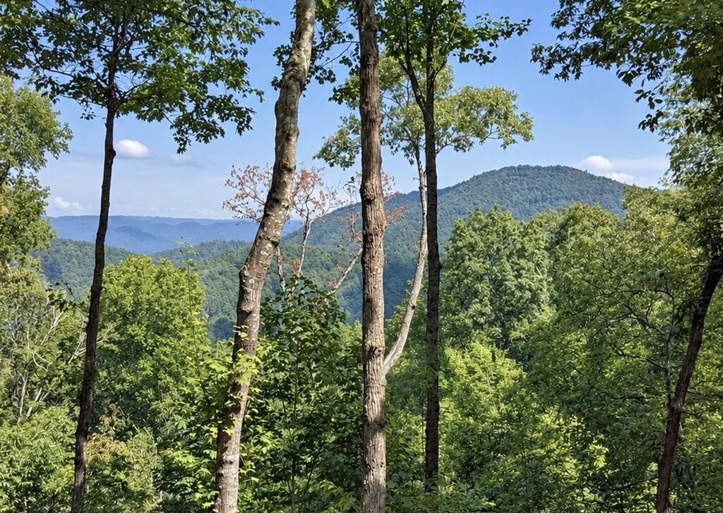435860 Ellijay Active
