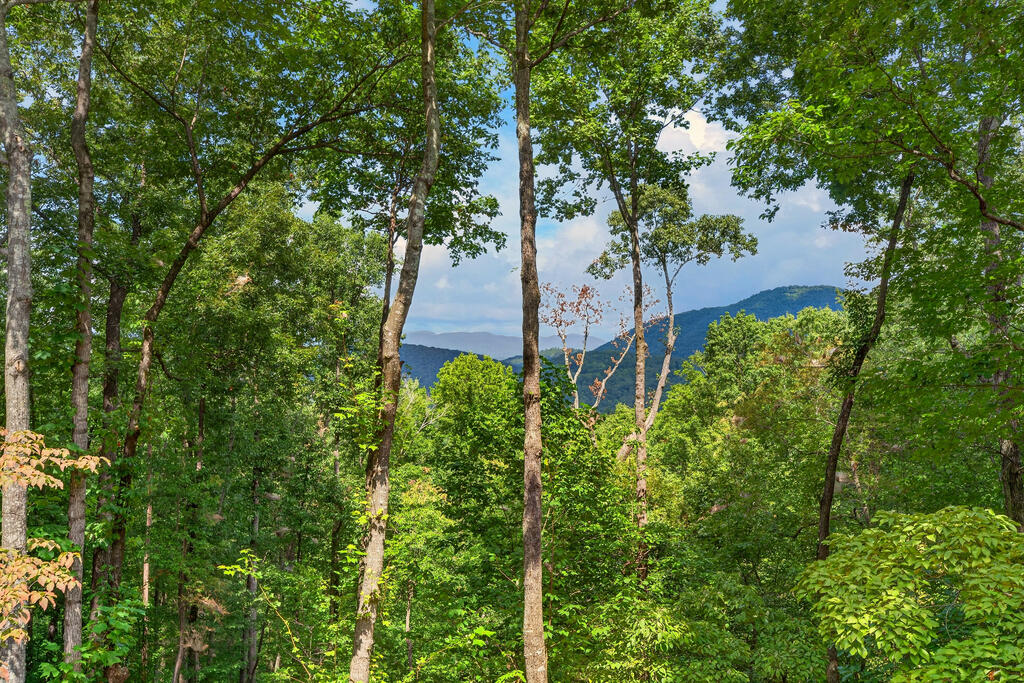 435860 Ellijay Active
