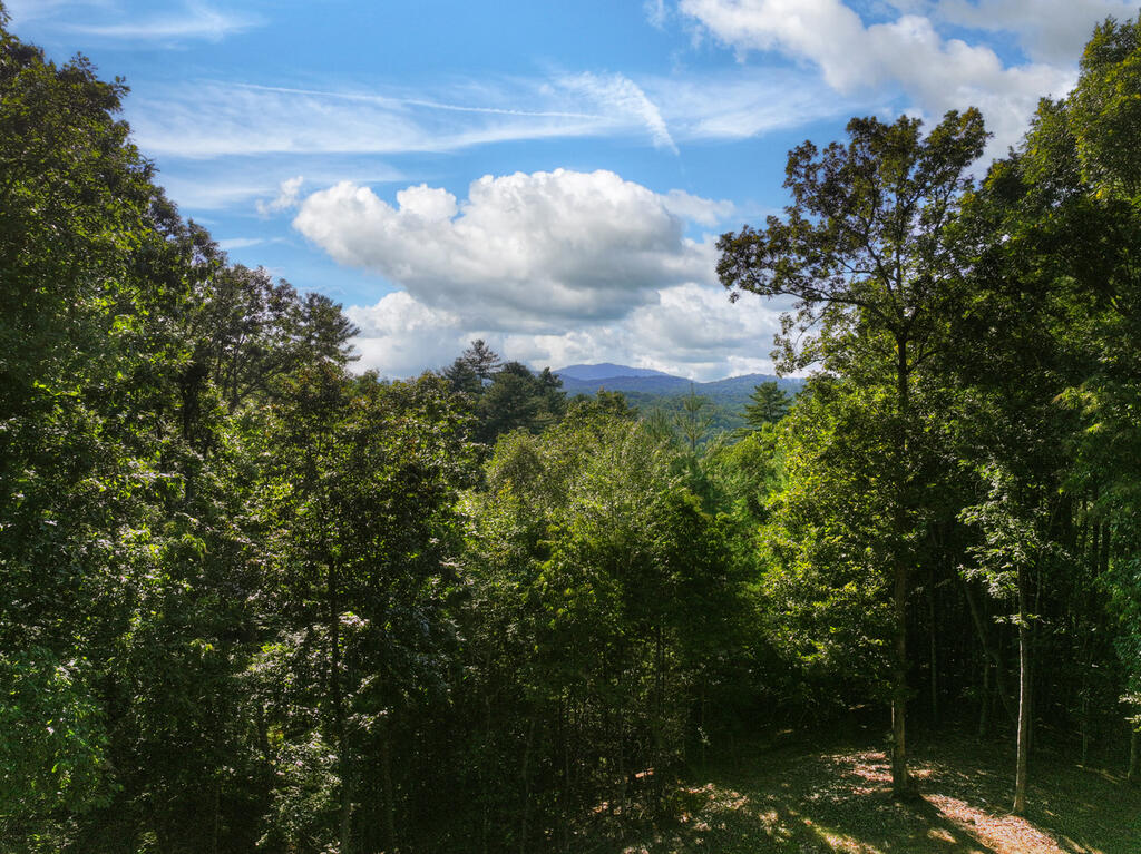 435865 Mineral Bluff Active