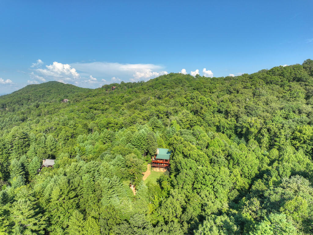 435865 Mineral Bluff Active