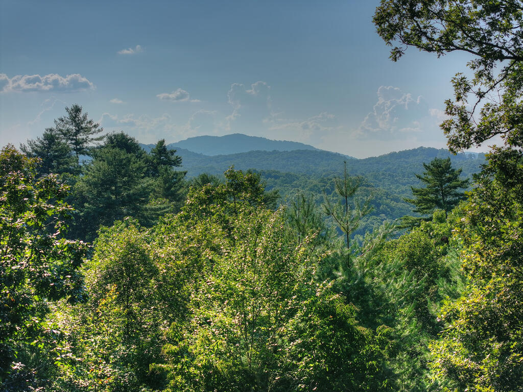 435865 Mineral Bluff Active