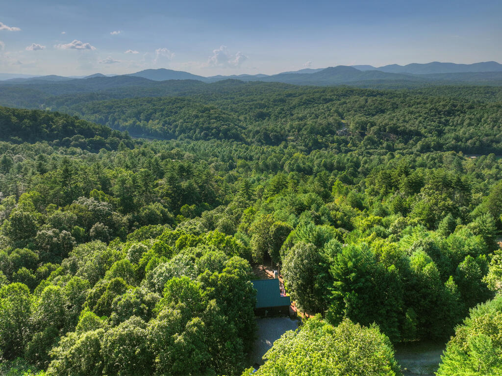 435865 Mineral Bluff Active