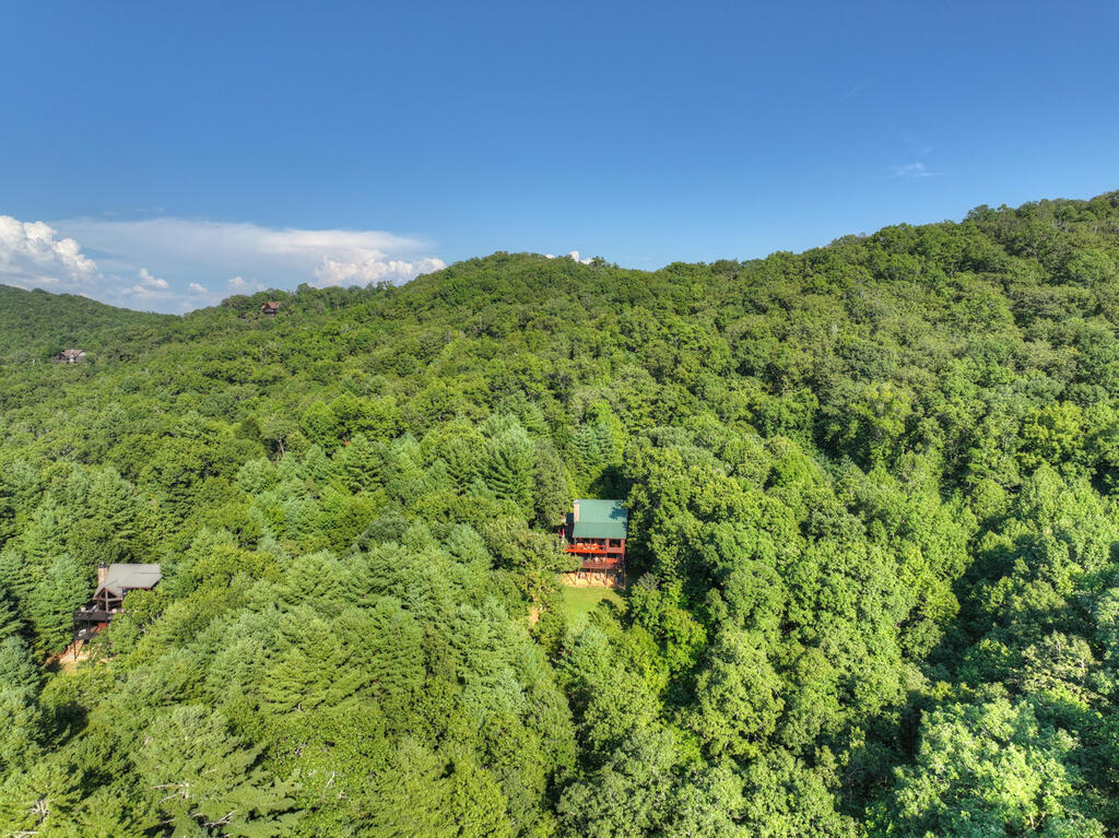 435865 Mineral Bluff Active