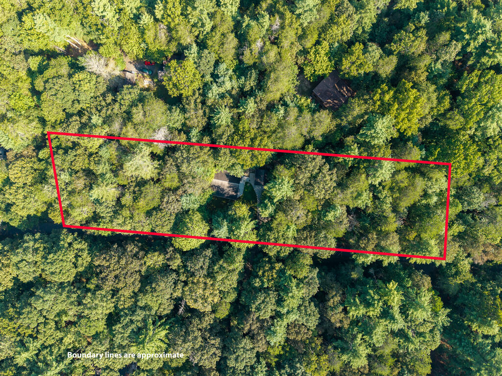 435869 Ellijay Active