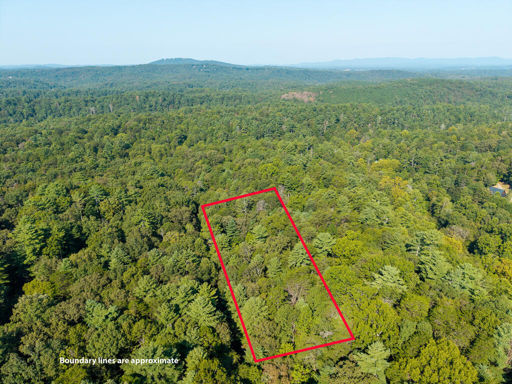 435869 Ellijay Active