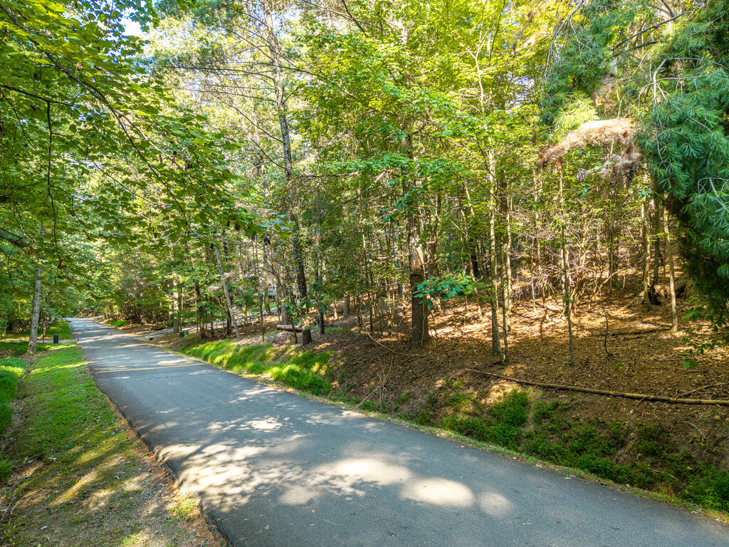 435869 Ellijay Active