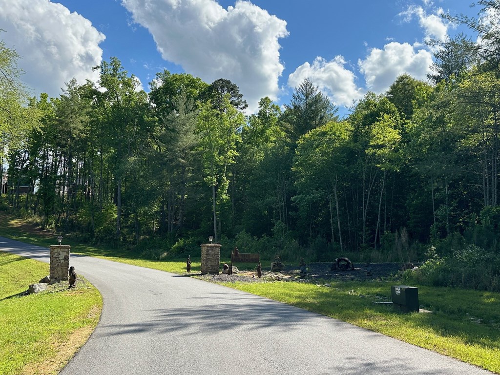 403868 Blairsville Land