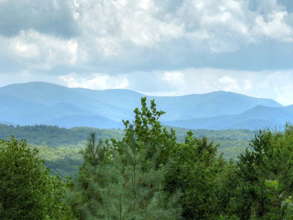 407068 Morganton Residential