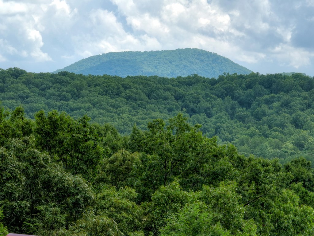407068 Morganton Residential