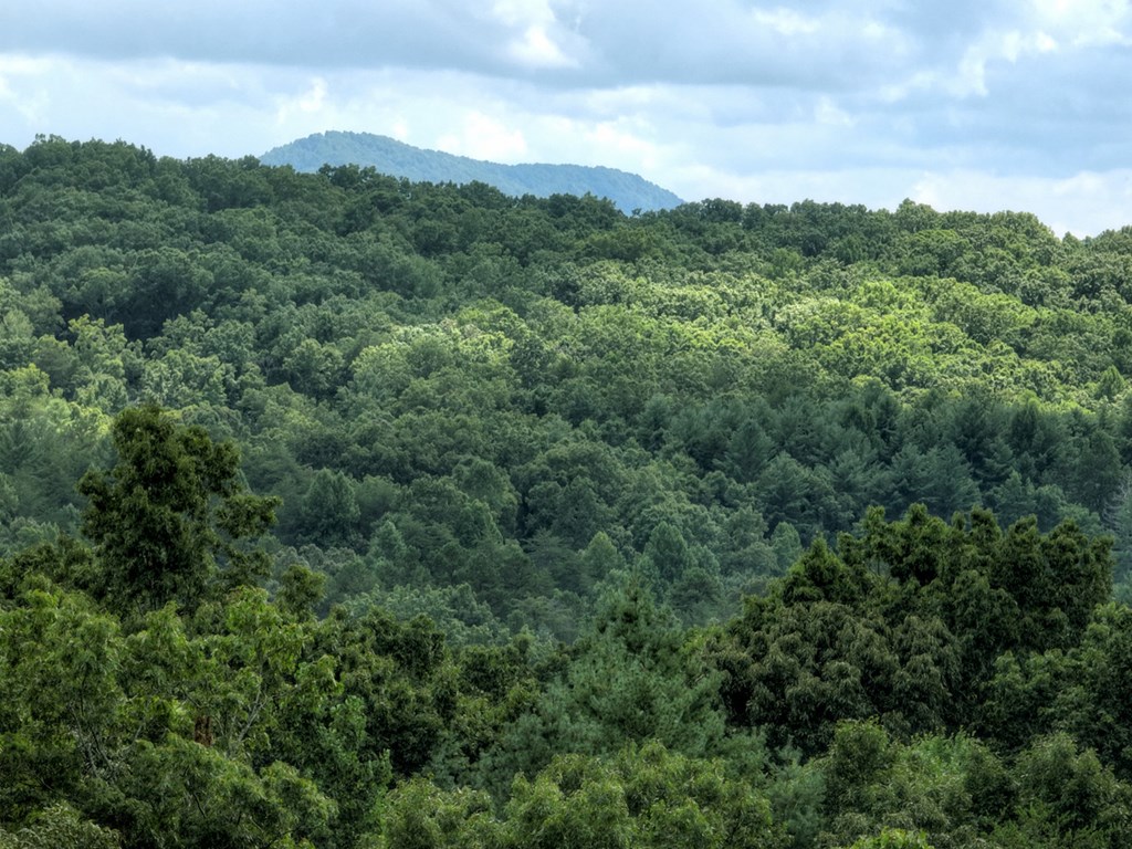 407068 Morganton Residential