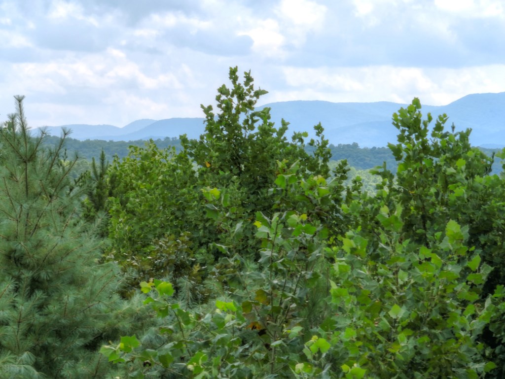 407068 Morganton Residential