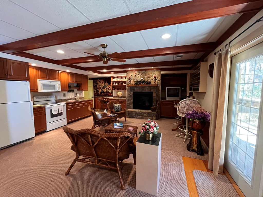 411866 East Ellijay Residential