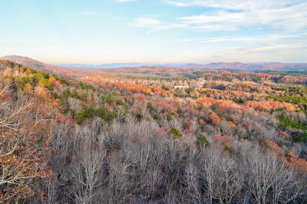 412005 Mineral Bluff Residential