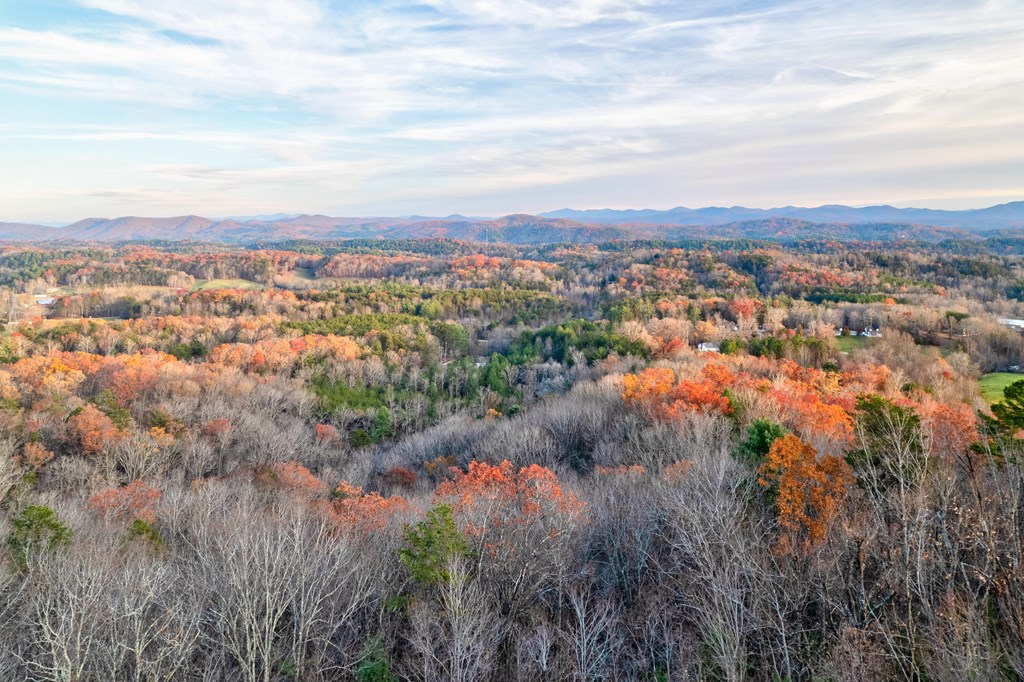 412005 Mineral Bluff Residential