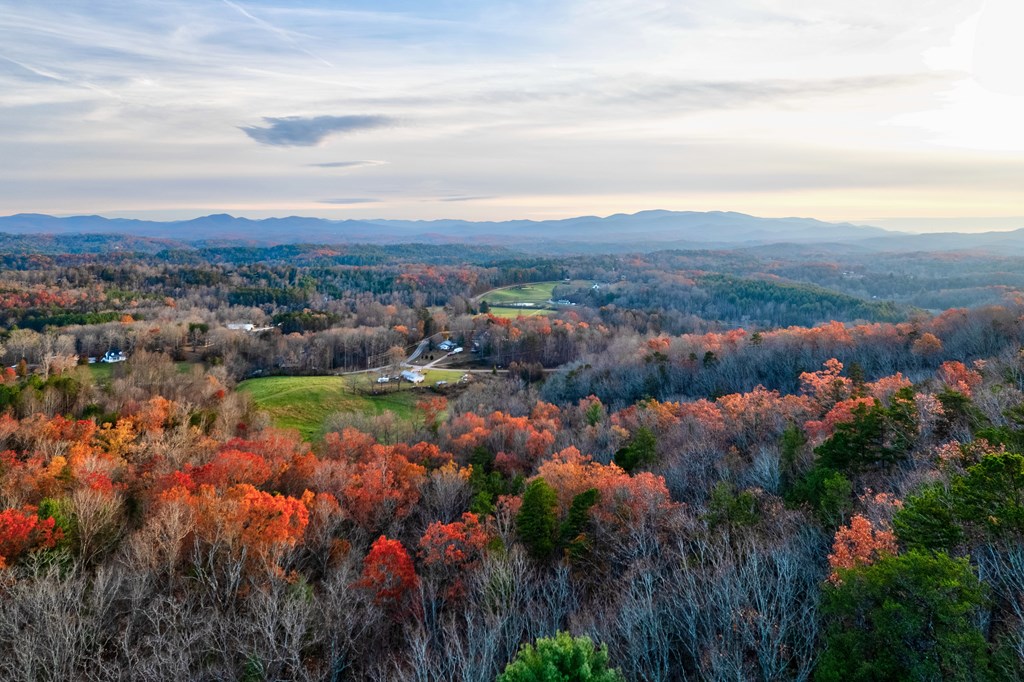 412005 Mineral Bluff Residential