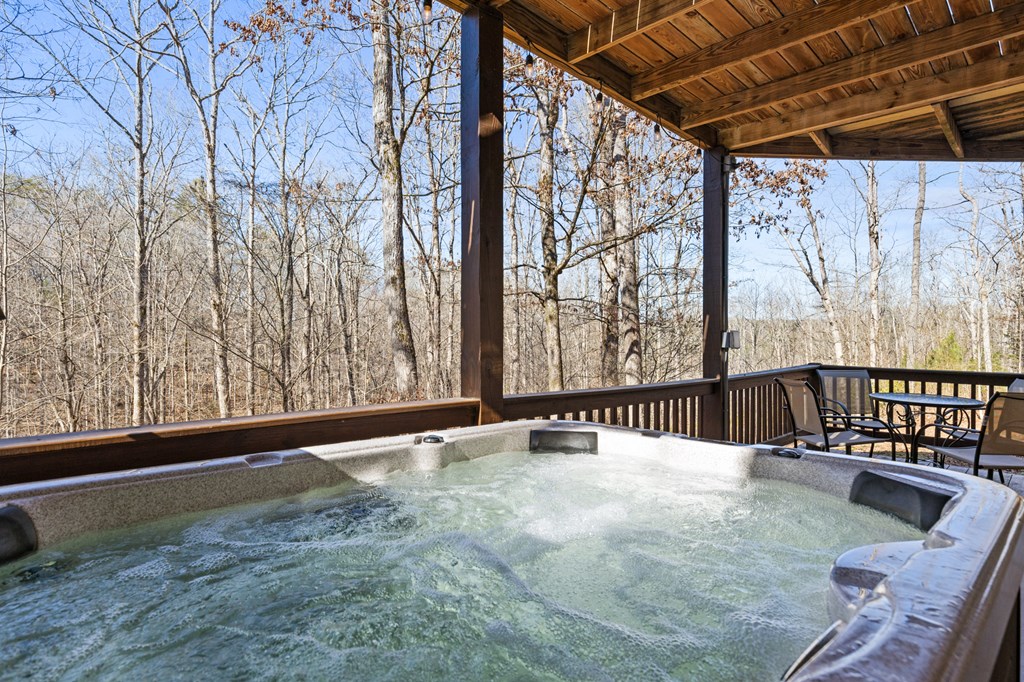 412993 Mineral Bluff Residential