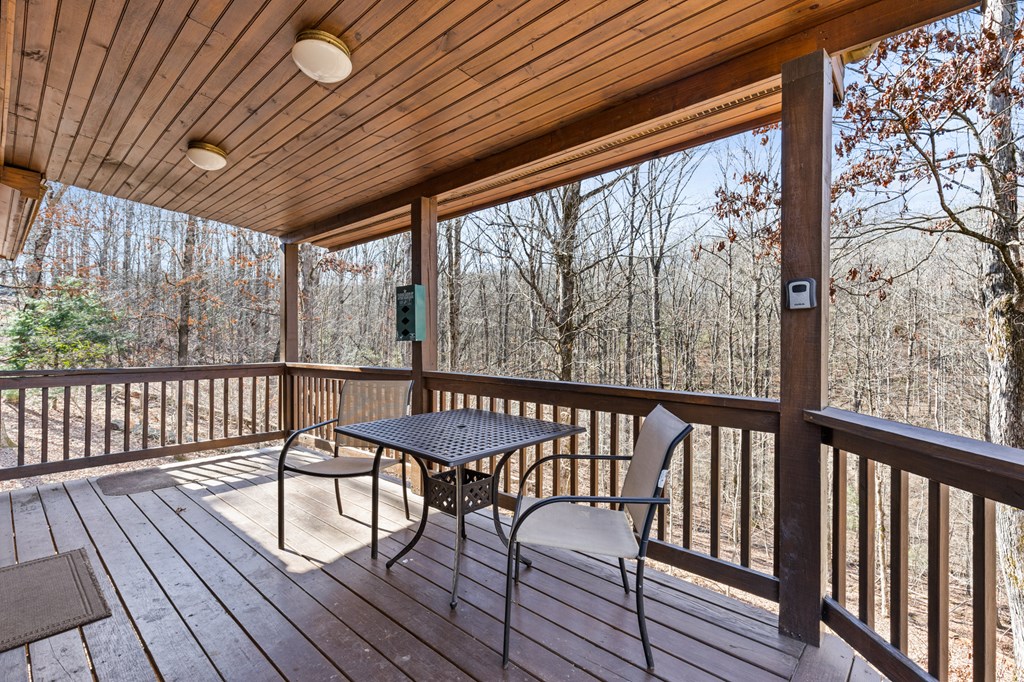 412993 Mineral Bluff Residential