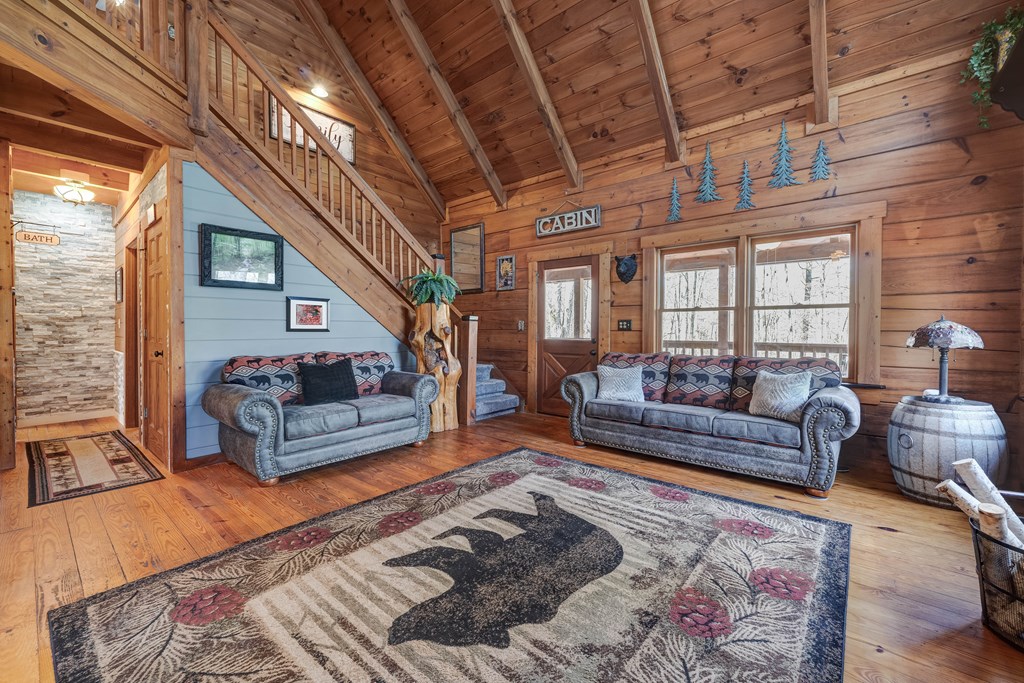 413007 Ellijay Residential