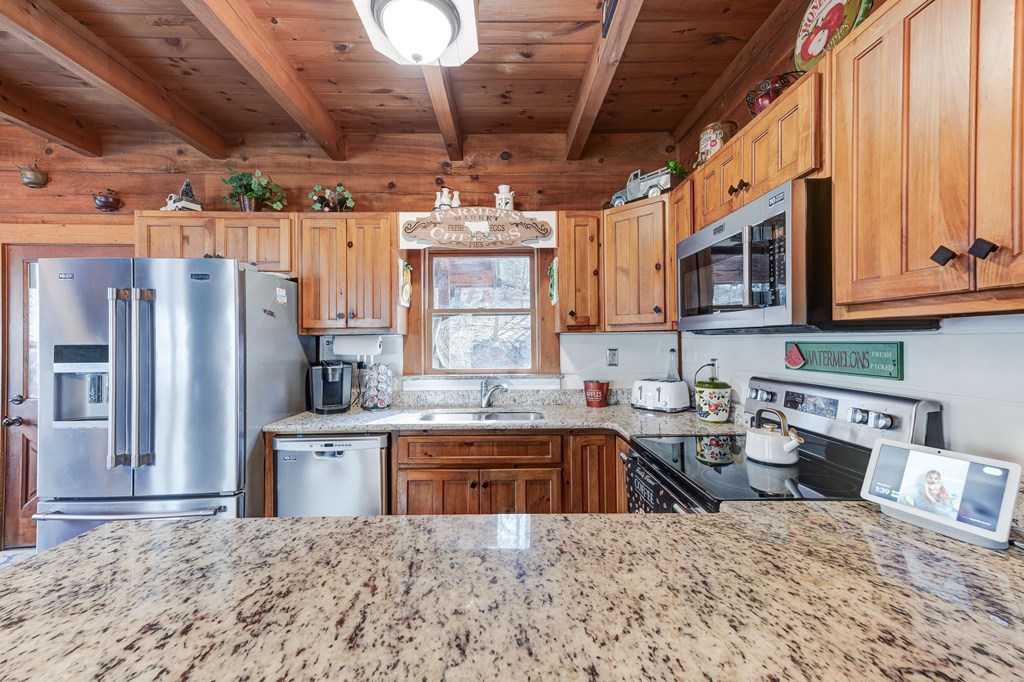 413007 Ellijay Residential