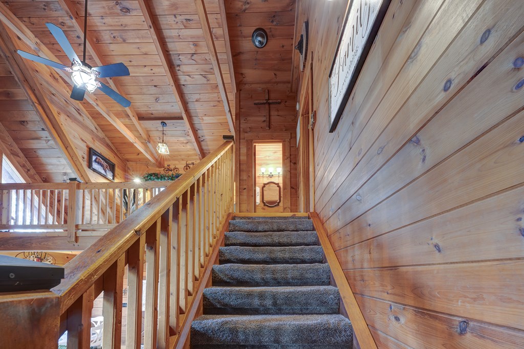 413007 Ellijay Residential
