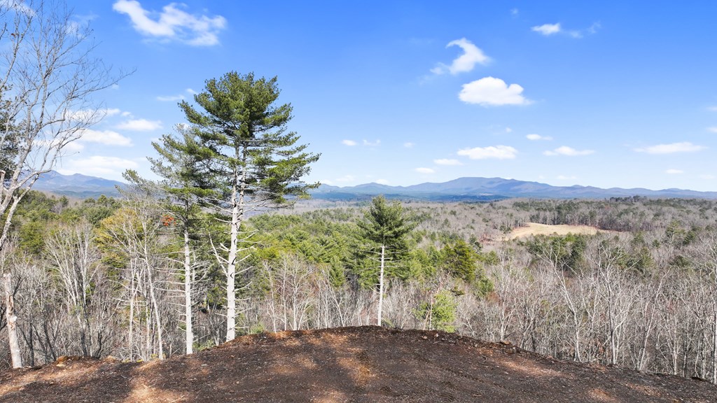 413100 McCaysville Residential