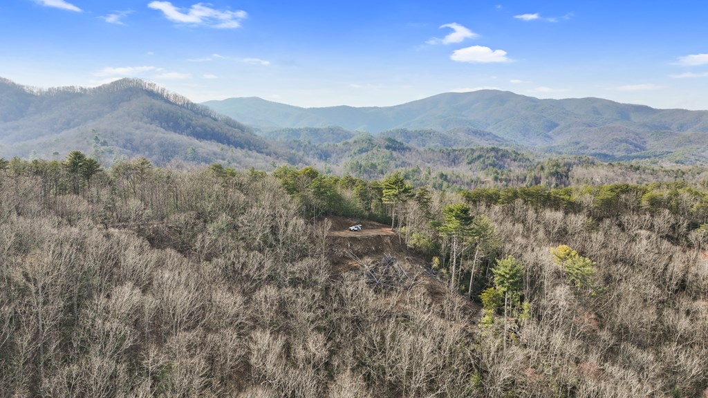 413100 McCaysville Residential