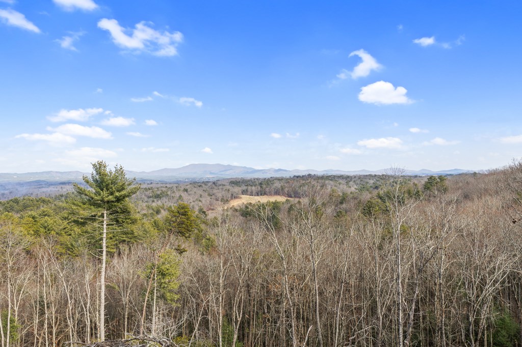 413100 McCaysville Residential