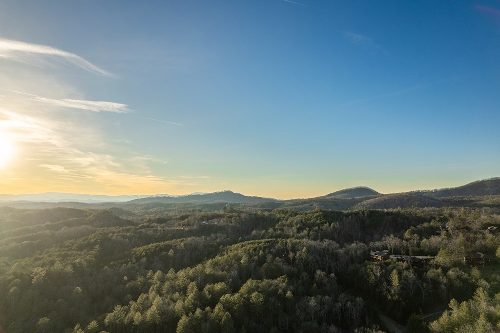 413539 Mineral Bluff Residential