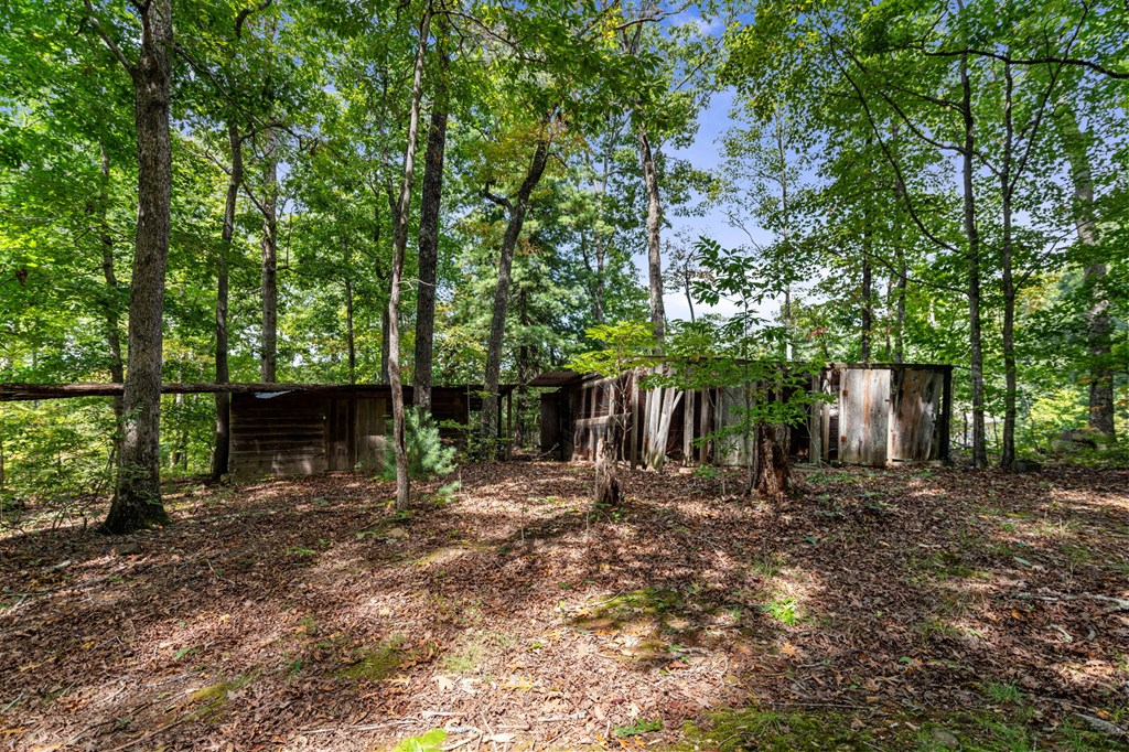 413687 Blue Ridge Residential