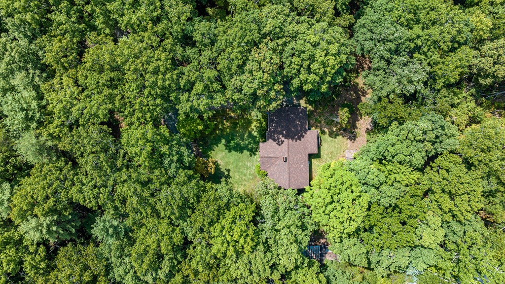 413687 Blue Ridge Residential