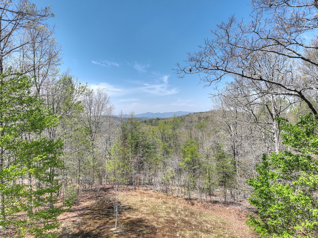 413780 Mineral Bluff Residential