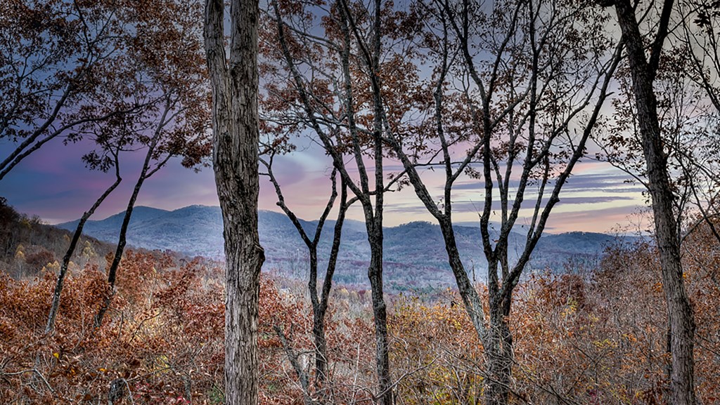 413805 Morganton Residential